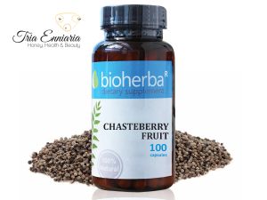 Chasteberry Fruit, 200 mg, 100 Capsules, Bioherba