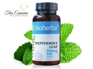 Peppermint Leaf, 300 mg, 100 Capsules, Bioherba
