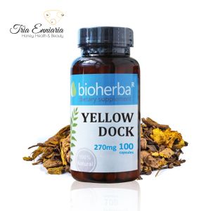 Yellow Dock Root, 270 mg, 100 Capsules, Bioherba