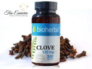 Clove, 510 mg, 100 Capsules, Bioherba