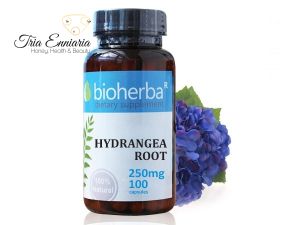 Hydrangea Root, 250 mg, 100 Capsules, Bioherba