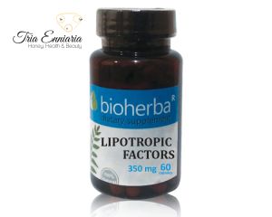 Lipotropic Factors, 350 mg, 60 Capsules, Bioherba
