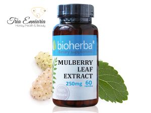 Mulberry Leaf Extract, 250 mg, 60 Capsules, Bioherba