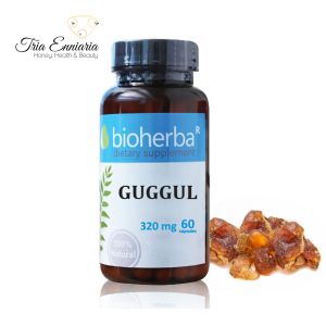 Guggul, 320 mg, 60 Capsules, Bioherba