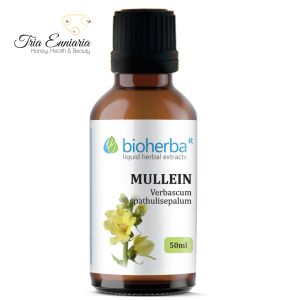 Mullein Tincture, 50 ml, Bioherba