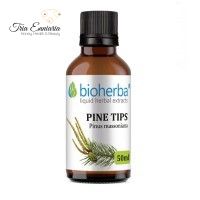 Pine Τips Τincture, 50 ml, Bioherba