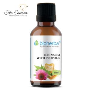 Echinacea And Propolis Tincture, 20 ml, Bioherba