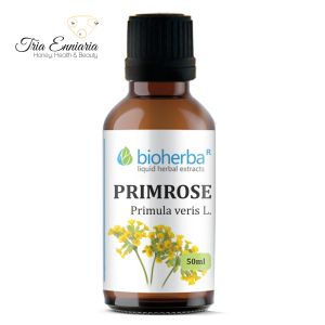Primrose Tincture, 50 ml, Bioherba