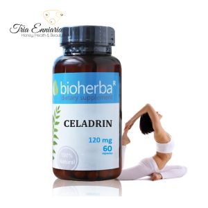 Celadrin, 120 mg, 60 Capsules, Bioherba