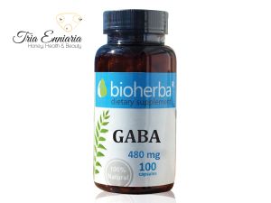 GABA (Gamma-Aminobutyric Acid), 480 mg, 100 Capsules, Bioherba