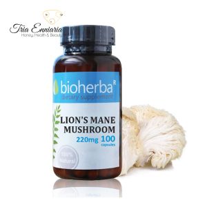 Lion's Mane Mushroom, 220 mg, 60 Capsules, Bioherba