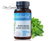 Holy Basil, 150 mg, 100 Capsules, Bioherba